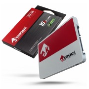 SSD  256GB 2.5  KDS256G-L21 - KEEPDATA